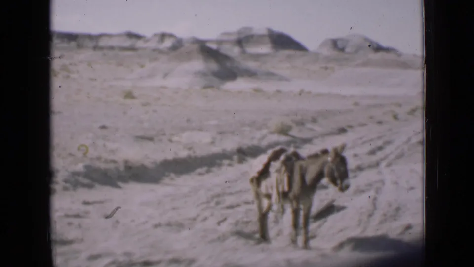 Vintage 8mm view of a donkey carrying saddlebags in a Utah desert landscape, framed by sand, tracks, and distant rocks.