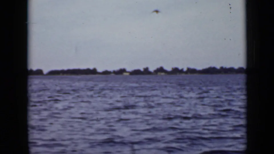 A handheld 8mm view shows Ontario water and a low tree-lined shoreline, with soft focus and dark film-edge framing.
