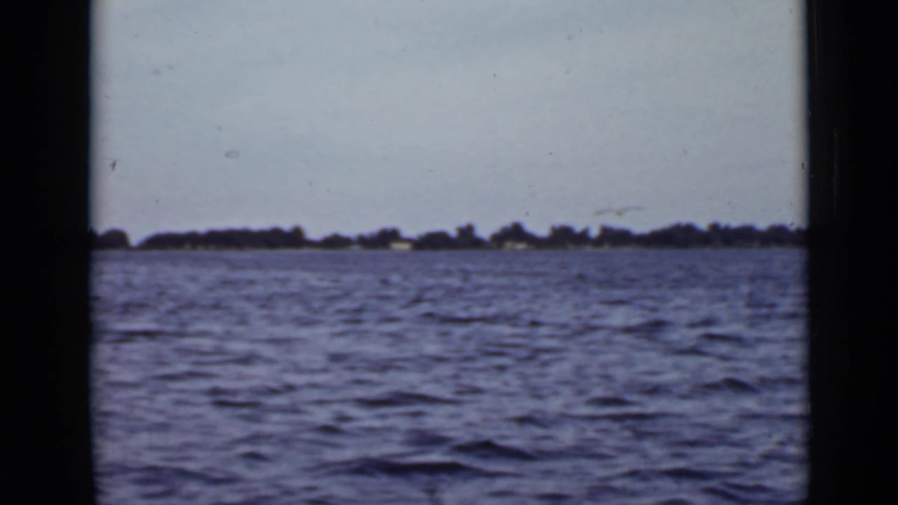 Rippling open water with a distant tree-lined shoreline and dark film borders.
