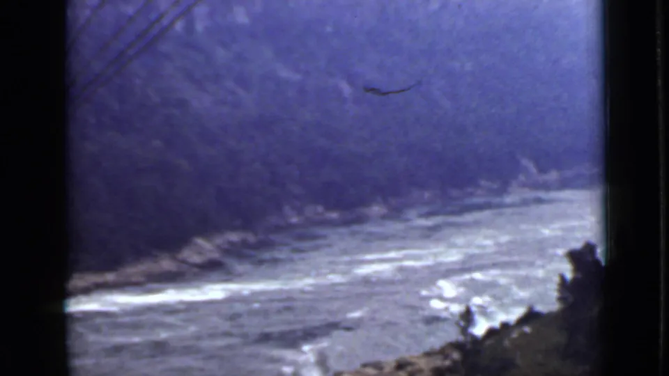1940 Ontario home-movie view of a rushing river, wooded bank, pale rapids, and dark foreground vegetation.