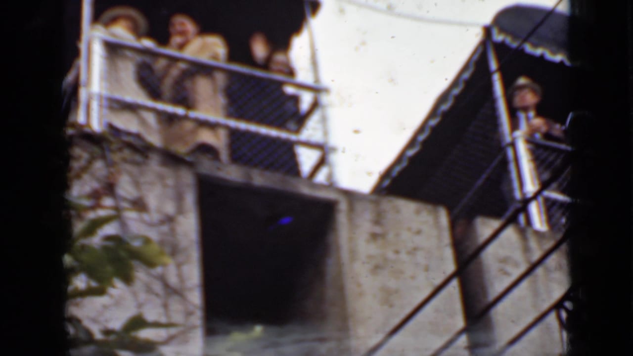 People watch from a covered lookout while another visitor stands near a railing.