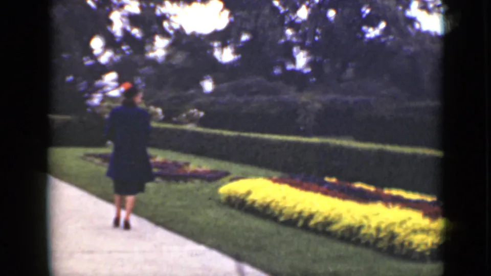 A woman in a dark dress and hat walks away through the Ontario garden, with yellow flower beds, lawn, and clipped hedges around her.