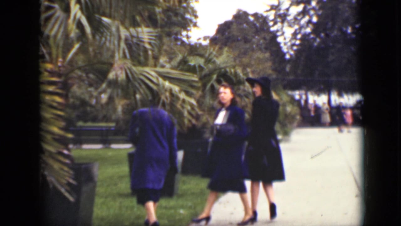 Three women in coats pause or walk near a paved path and grassy planting area.