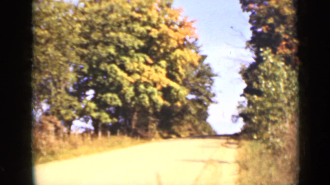 Pale rural road bordered by trees and grass under a blue sky.