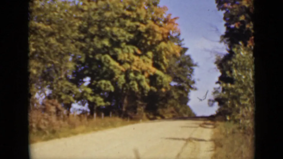1940 Ontario frame showing a pale rural road receding between mature trees and roadside plants.