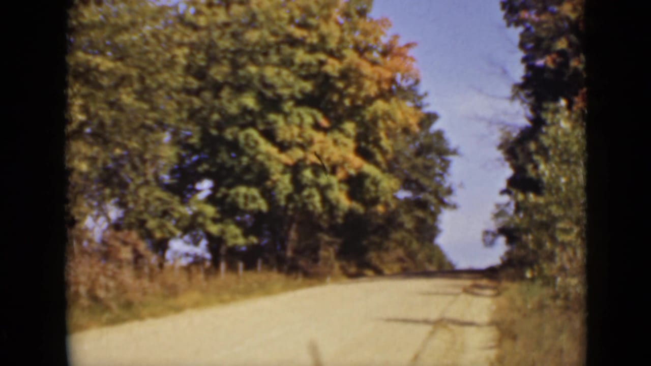 Pale country road bordered by autumn trees and roadside brush.