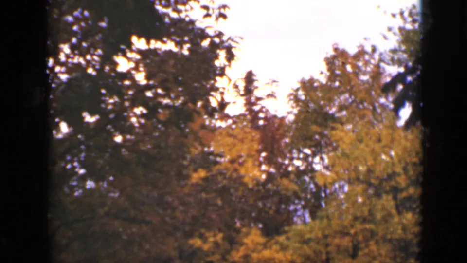 1940 Ontario 8mm frame looking toward autumn-colored treetops against a bright sky near the wooded road.
