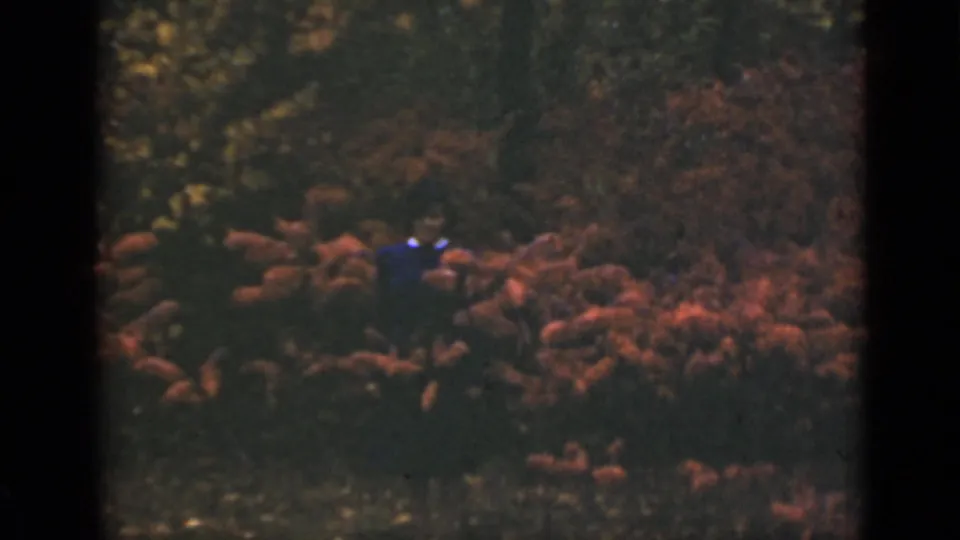 1940 Ontario 8mm frame showing dark undergrowth, reddish-brown leaves, and a small indistinct blue figure-like shape in the woods.