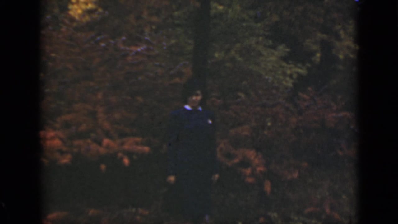 Woman in a dark dress standing among autumn plants in a wooded area.