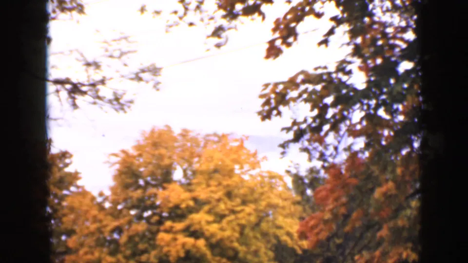 1940 Ontario home-movie view of yellow autumn treetops, dark branches, and a bright overcast sky.