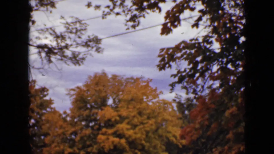 1940 Ontario 8mm frame with yellow and red autumn trees under a gray, clouded sky.