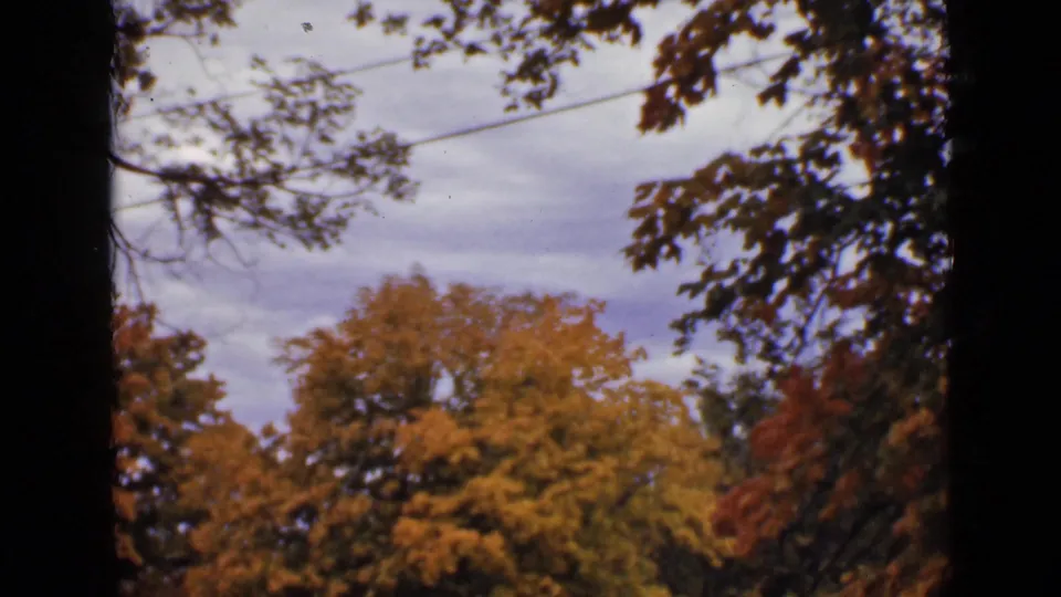 1940 Ontario home-movie frame of autumn treetops and dark branches with visible 8mm borders.