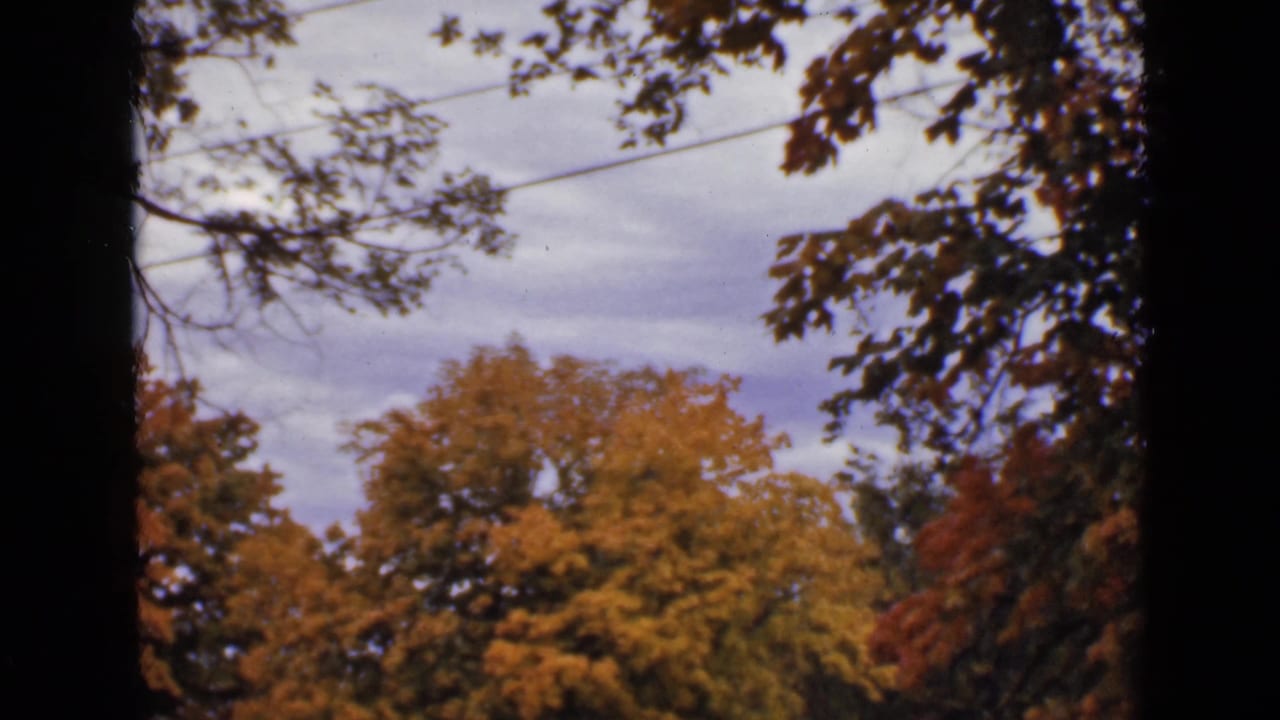 Autumn-colored trees under a cloudy sky framed by dark trunks and branches.