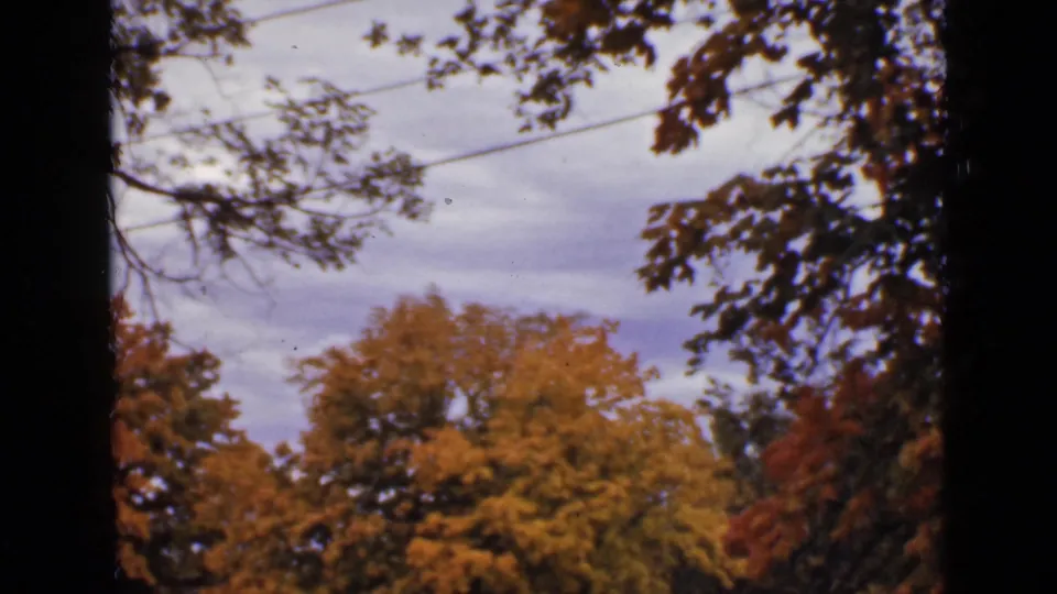 1940 Ontario home-movie view of autumn foliage and clouded sky, with dark vertical tree trunks and branches in the foreground.