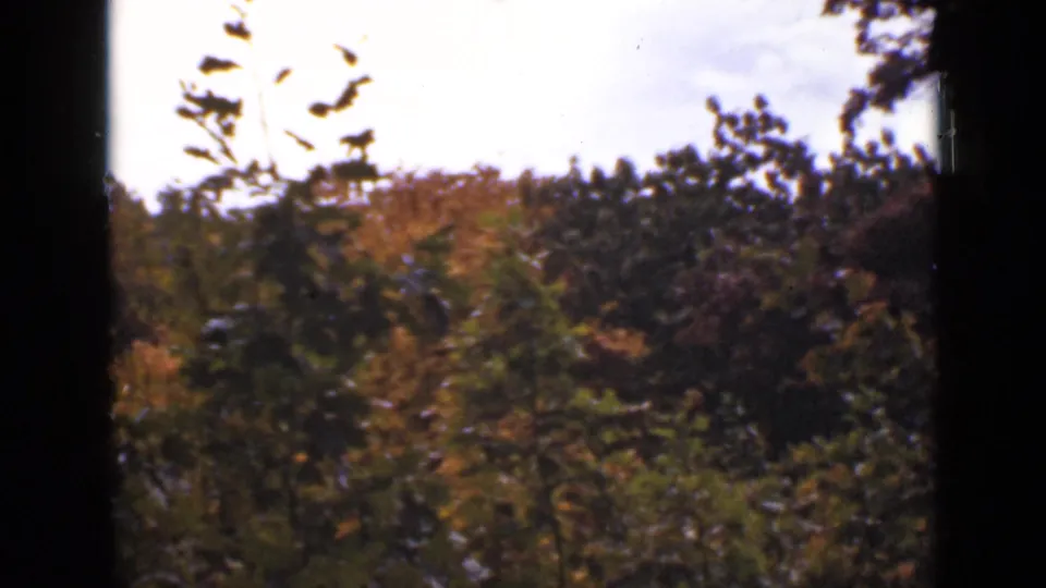 1940 Ontario 8mm frame with dense foreground shrubs, orange fall trees, bright clouded sky, and dark tree trunks at the edges.