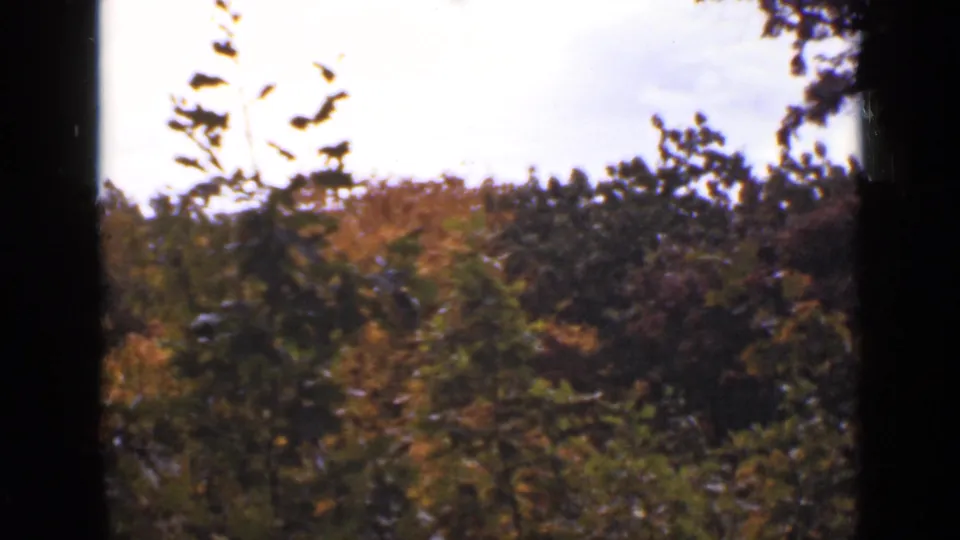 1940 Ontario home-movie frame showing shrubs and autumn-colored trees under a pale sky, with dark leaves and branches framing the top.