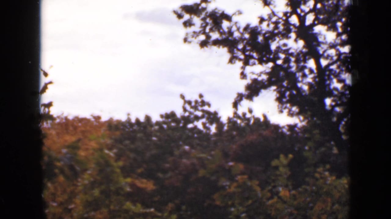1940 Ontario home-movie frame showing autumn tree canopy and silhouetted branches under a pale sky.