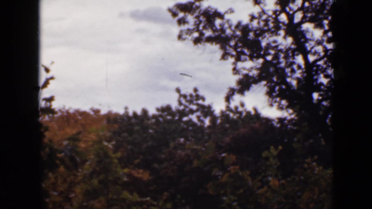 Dark tree branches frame fall-colored treetops under a cloudy sky.