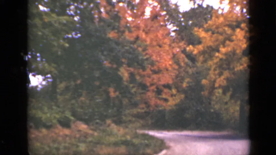 1940 Ontario 8mm frame showing a curving rural road beside dense autumn trees in orange, green, and brown tones.