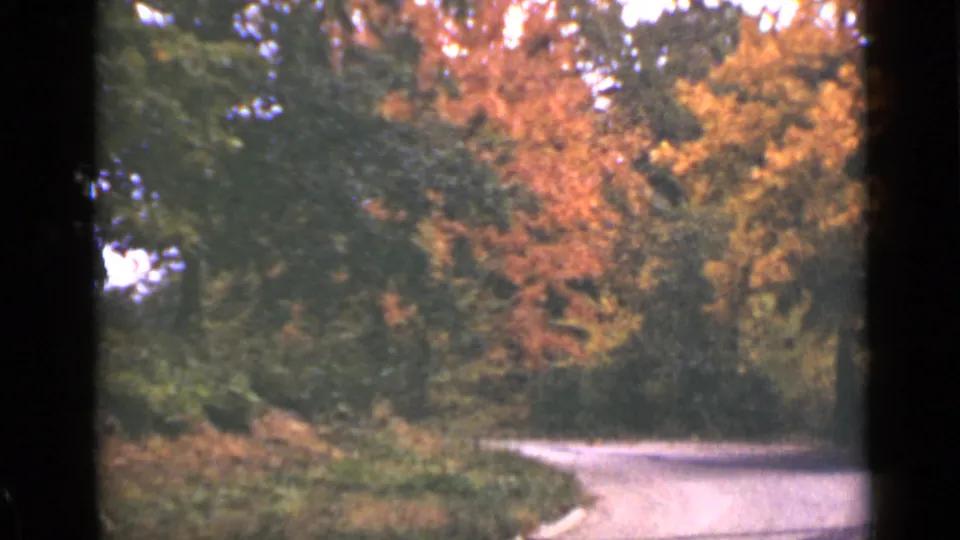 1940 Ontario home-movie view of a pale road turning past dense trees with orange and yellow leaves.