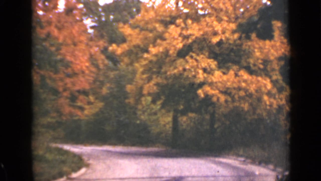 Curving paved road bordered by dense trees with orange autumn foliage.