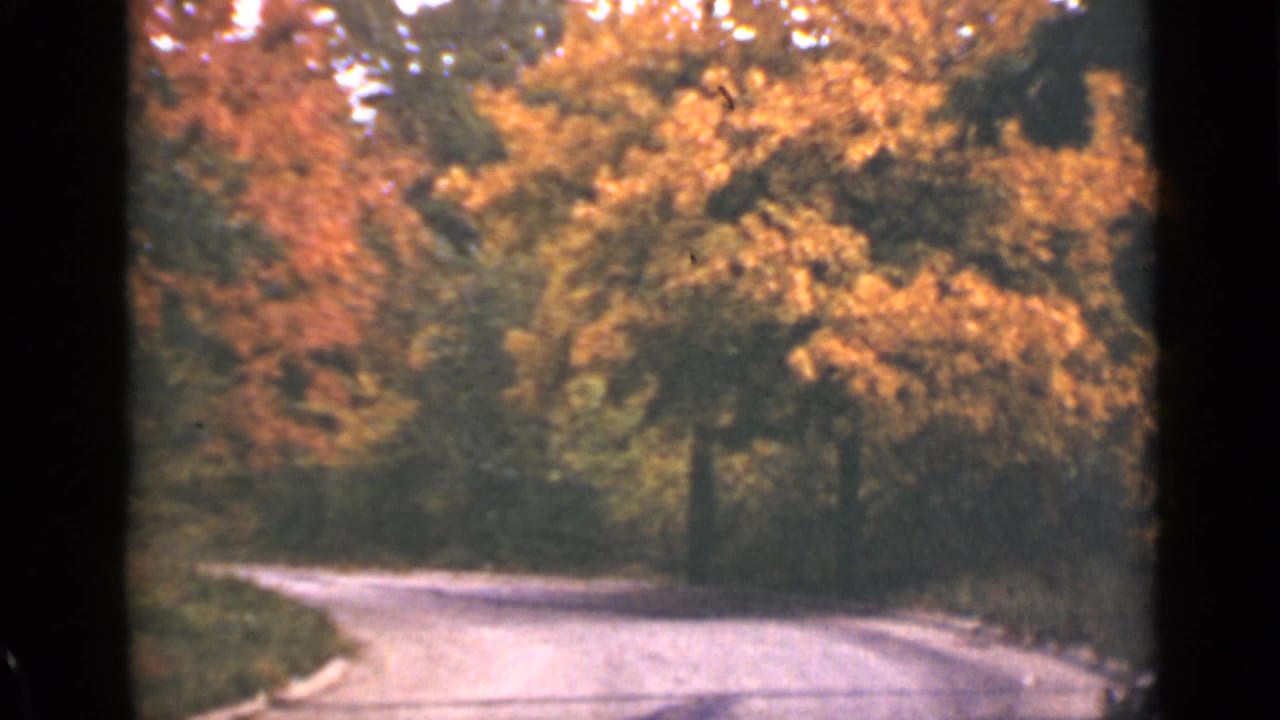 Country road curving through a wooded area with bright autumn leaves.