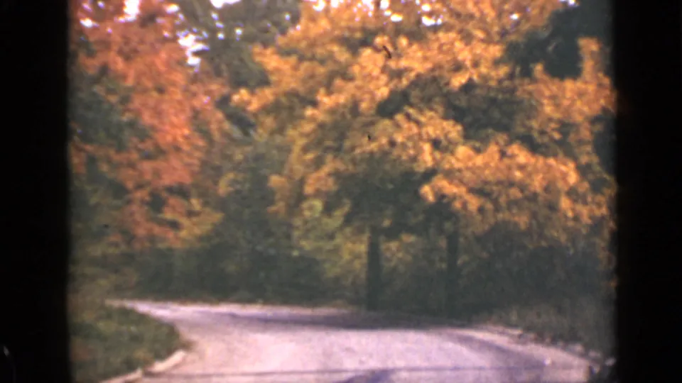 1940 Ontario home-movie frame of a paved country road passing through dense fall foliage.