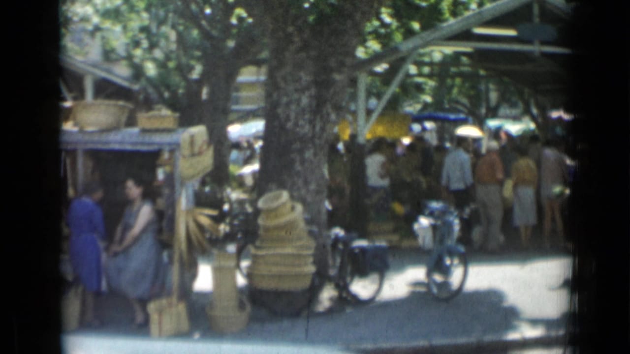 Crowded outdoor market with baskets, bicycles, trees, and pedestrians.