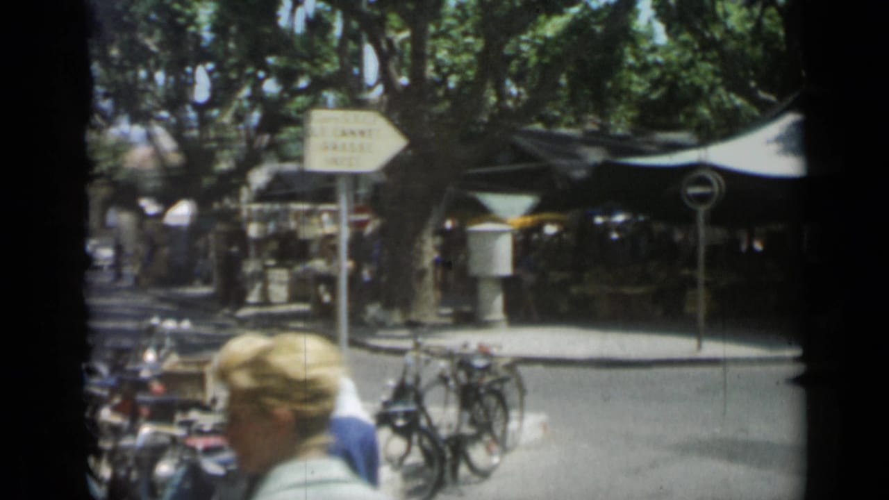 Street market under trees with bicycles, pedestrians, road signs, and a woman passing close to camera.