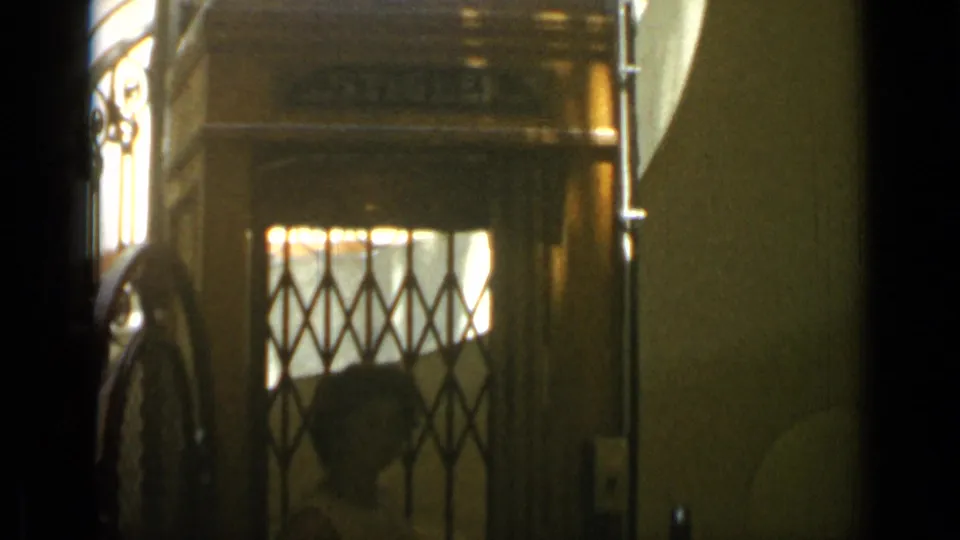The vintage elevator gate fills the frame, with warm light behind the diamond grille and dark 8mm frame edges.