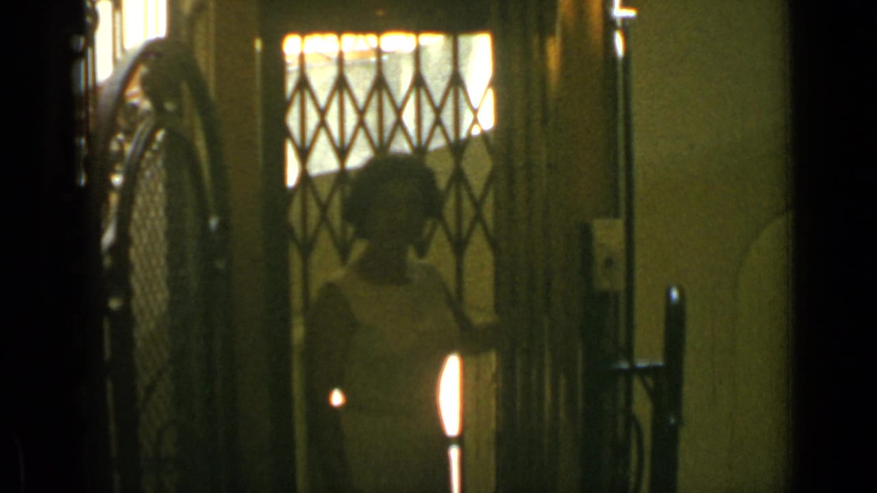 Woman standing behind a diamond-pattern gate in a dark doorway.