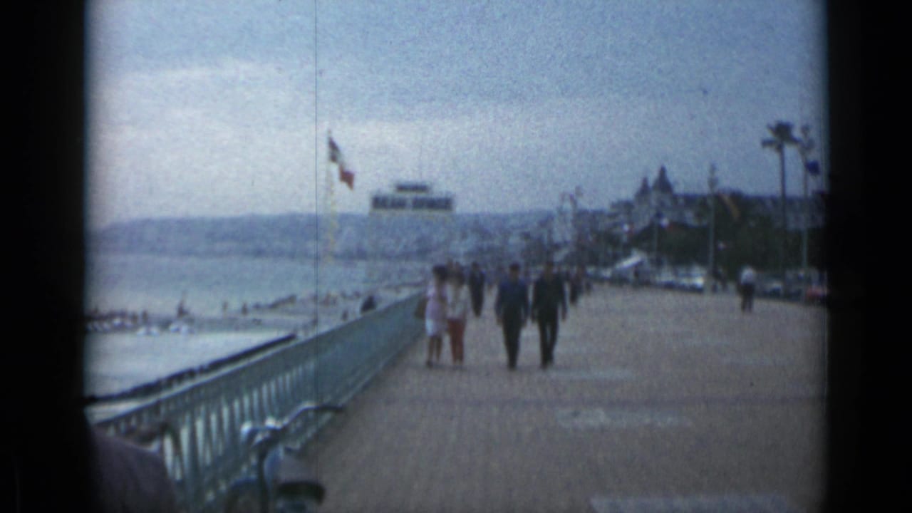 People walk on a waterfront promenade near a railing, flags, palm trees, cars, and beach area.