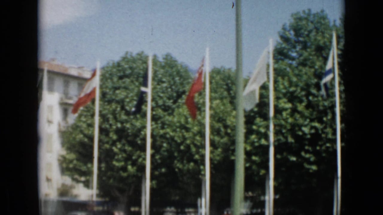 International flags on tall poles in front of trees and a pale building edge.