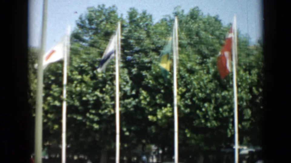 1962 Cannes 8mm frame showing flags including Japan and Israel, tall poles, leafy trees, and dark film-frame borders.