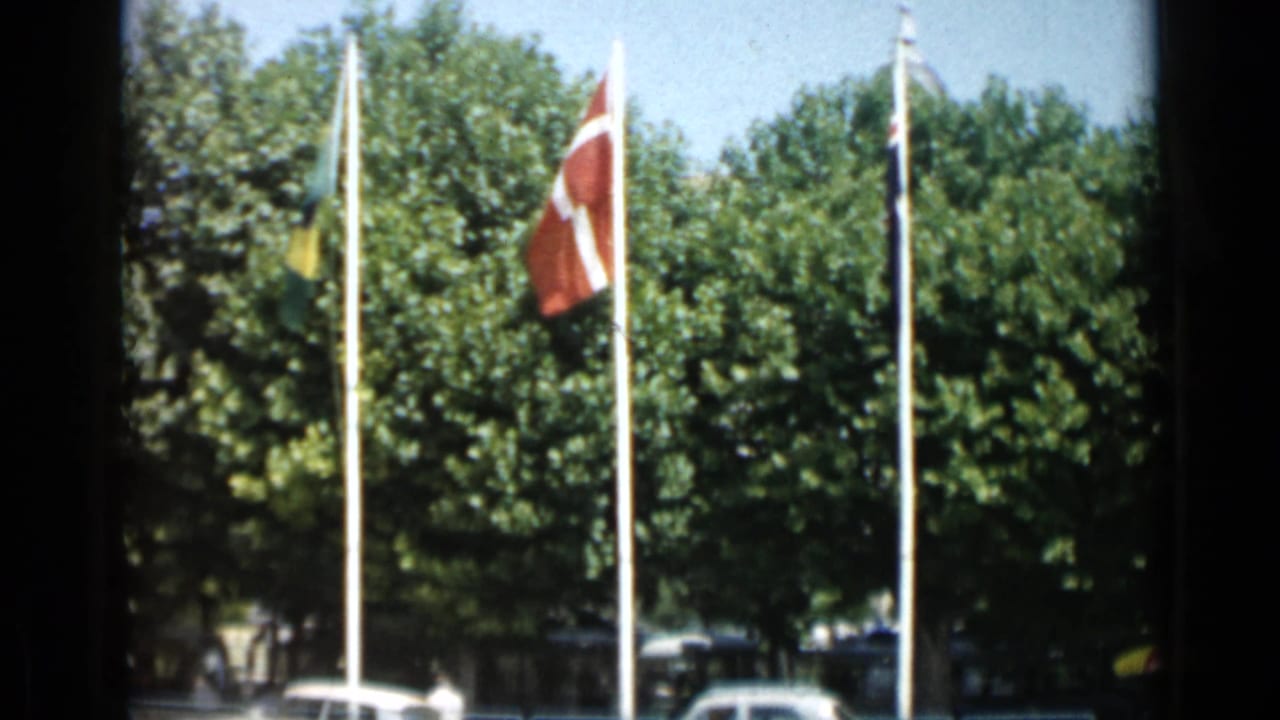 International flags on tall poles beside trees and parked cars.
