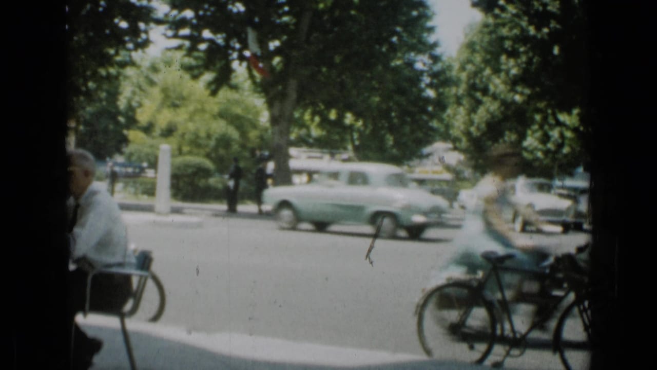 Tree-lined street with vintage cars, bicycles, cafe chairs, and pedestrians in shade.