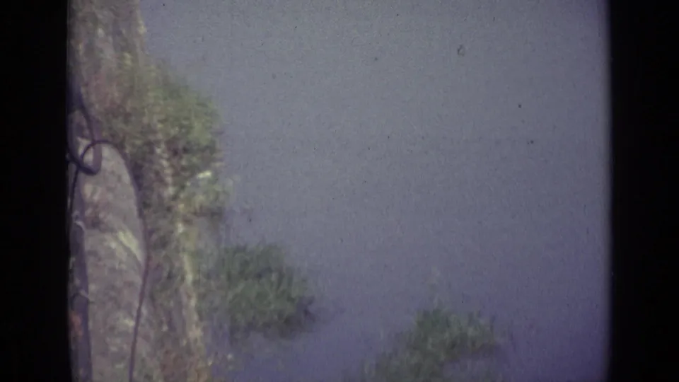 The camera pans away from the bridge toward the river, with leafy trees at the edge and faded 8mm grain visible.