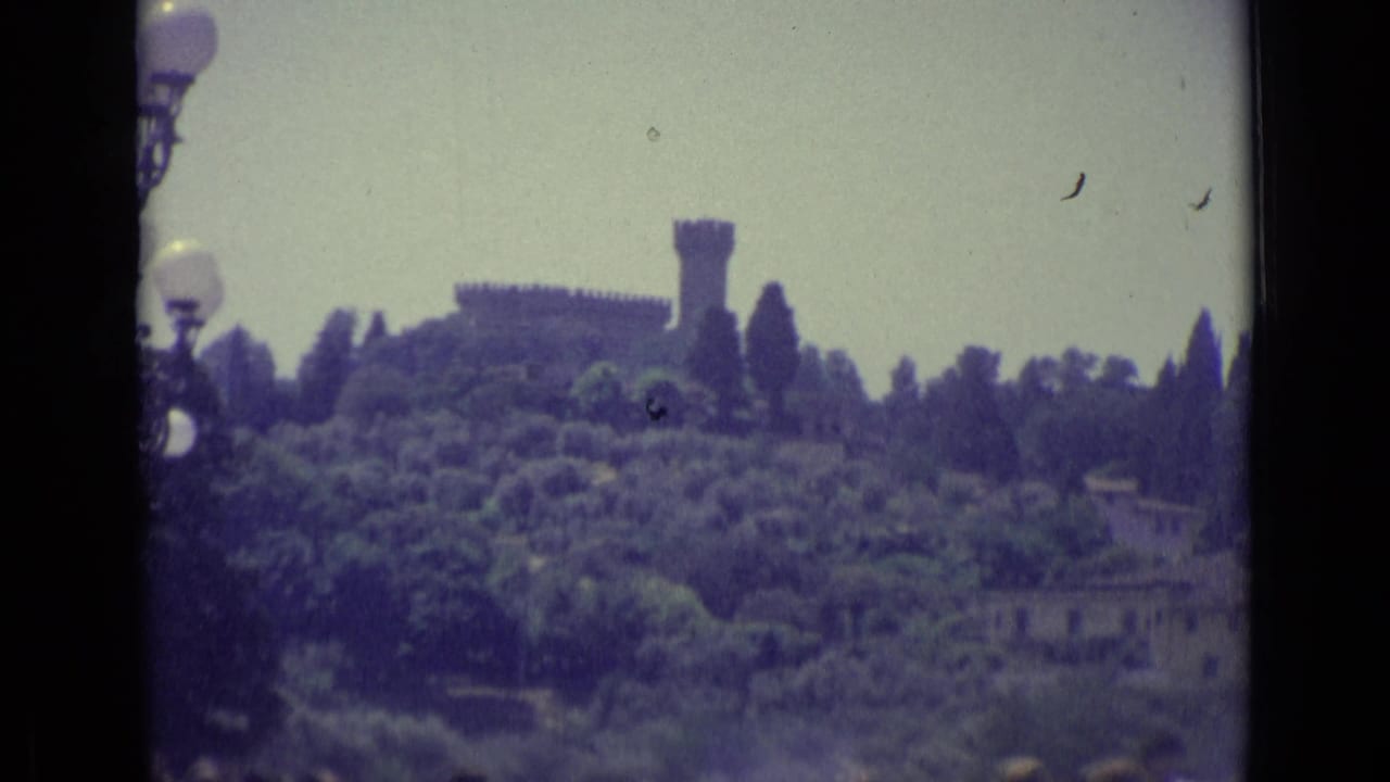 Distant hilltop fortress or tower above trees under a pale sky.