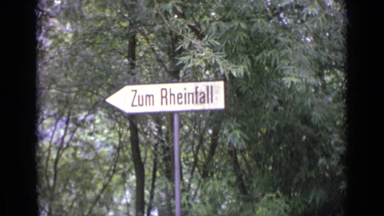 Zum Rheinfall arrow sign surrounded by trees and soft film grain.