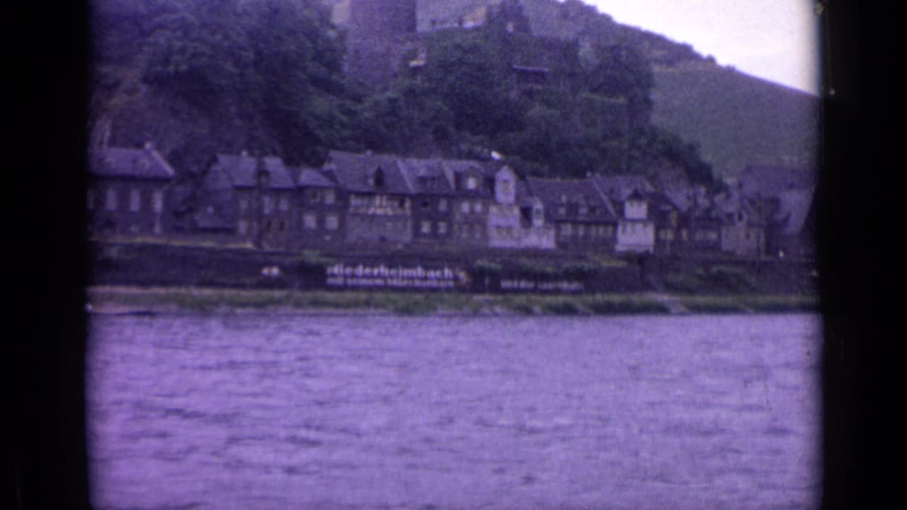 Riverfront German town beneath a wooded hillside with castle structures above.