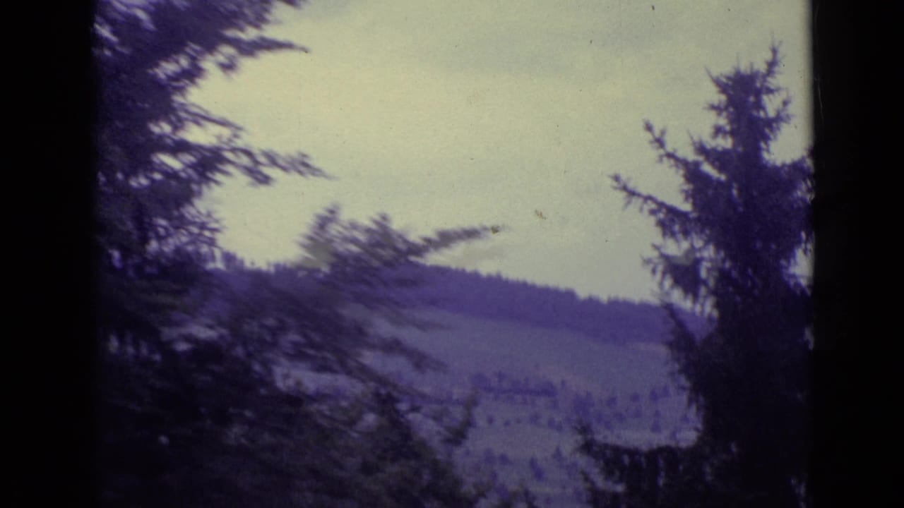 1962 Lucerne home-movie view across pine branches toward muted rolling countryside and tree-covered slopes.