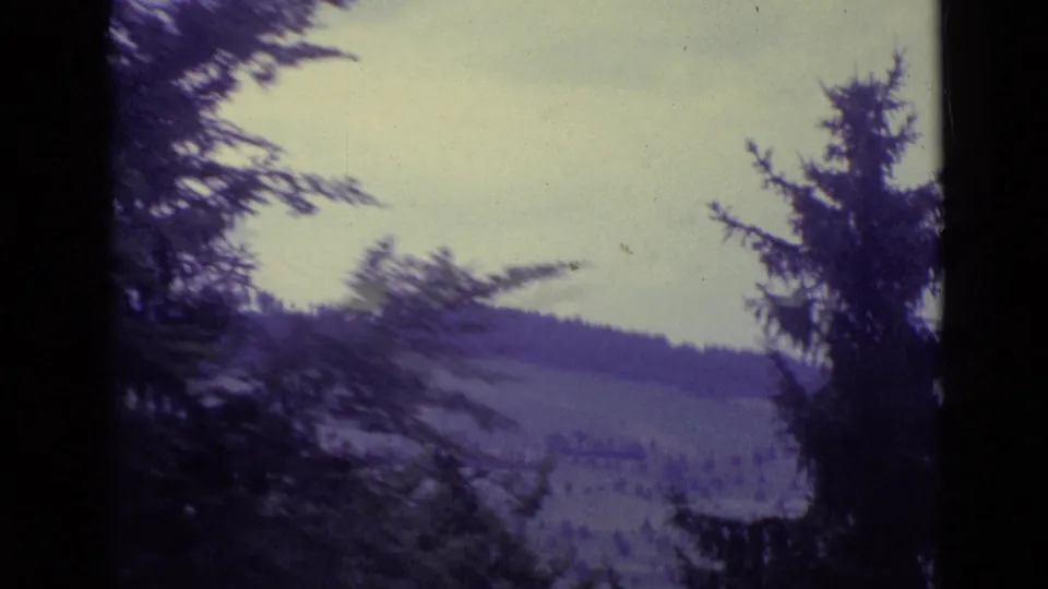 1962 Lucerne home-movie view across pine branches toward muted rolling countryside and tree-covered slopes.