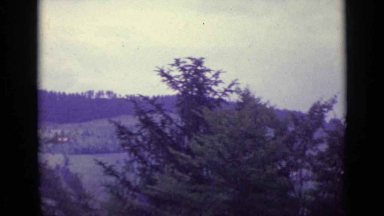 Hazy hillside view with evergreen trees in the foreground and rolling terrain beyond.