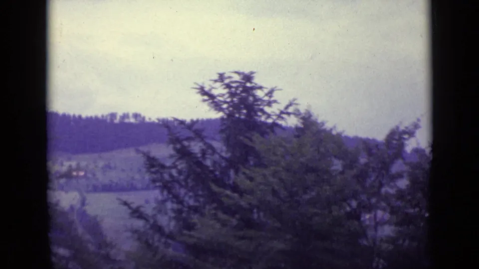 1962 Lucerne-area home-movie frame showing evergreen branches against a hazy hillside and distant rural landscape.