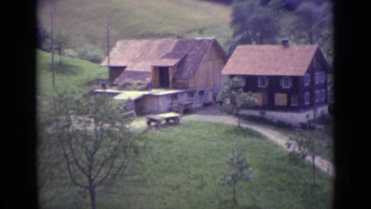 Lucerne 1962 home-movie still with traditional rural houses, a small table, leafless foreground tree and green valley grass.