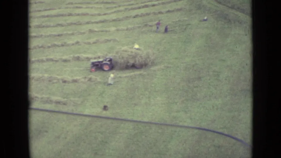 1962 Lucerne-area rural field seen from above, with cut hay rows, a small tractor or wagon, and workers spread across the grass.