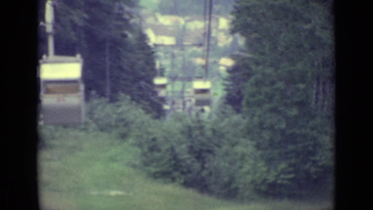 1962 Lucerne home-movie frame showing a soft downward view over trees, brush, and grass from behind dark vertical bars.
