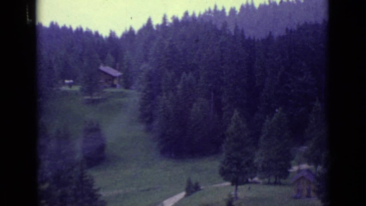 Evergreen hillside with a small cabin set in a grassy clearing.