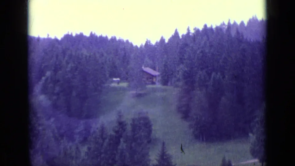 1962 Lucerne-area frame of a small hillside cabin in a grassy clearing, bordered by dense evergreen forest and soft film edges.