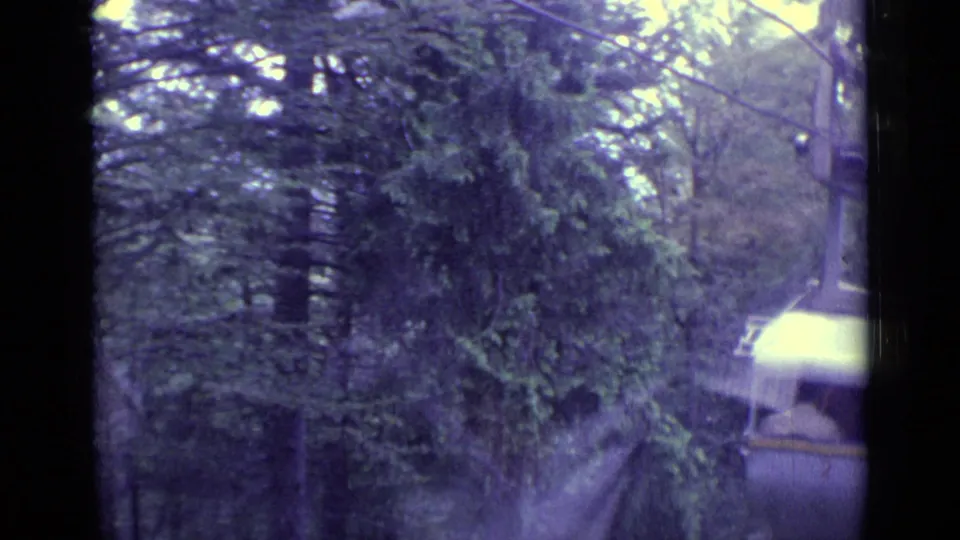A pale cable car cabin is partly obscured by trees during a 1962 Swiss mountain cableway ride near Lucerne.